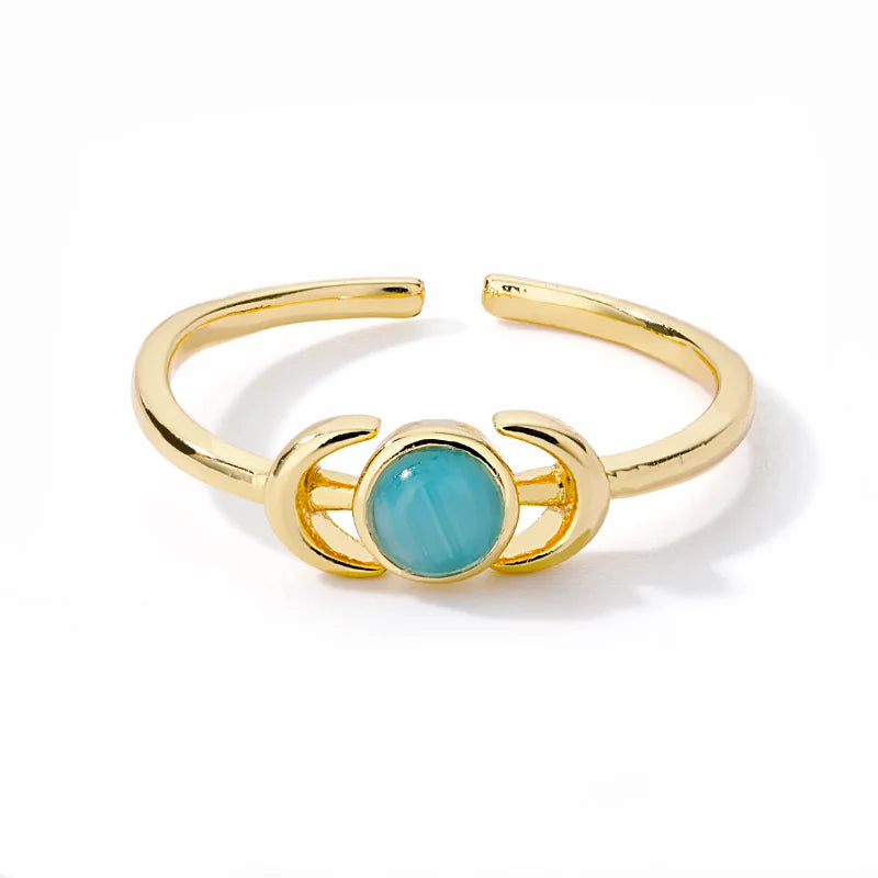 Endless Loops Stainless Steel Ring